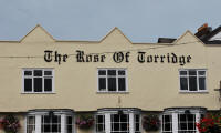 Rose of Torridge