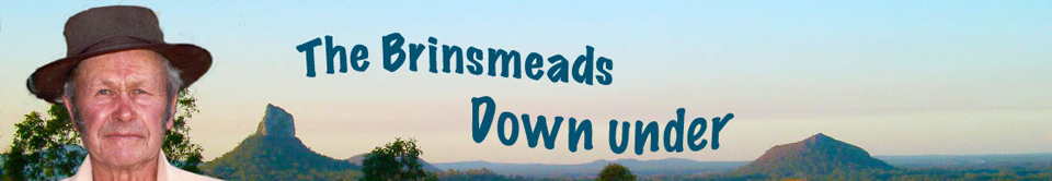 Brinsmeads Down Under Banner