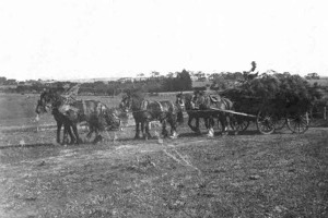 Working the Leopold Farm