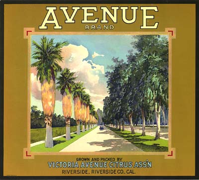 Avenue Orange Box Label