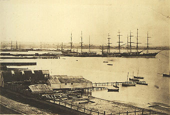Geelong Harbour : Merope, Loch Maree & Salamis, October 1880