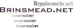 Brinsmead.net 