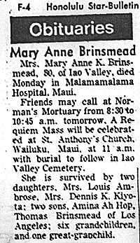 Obituary for Mary Ann Brinsmead